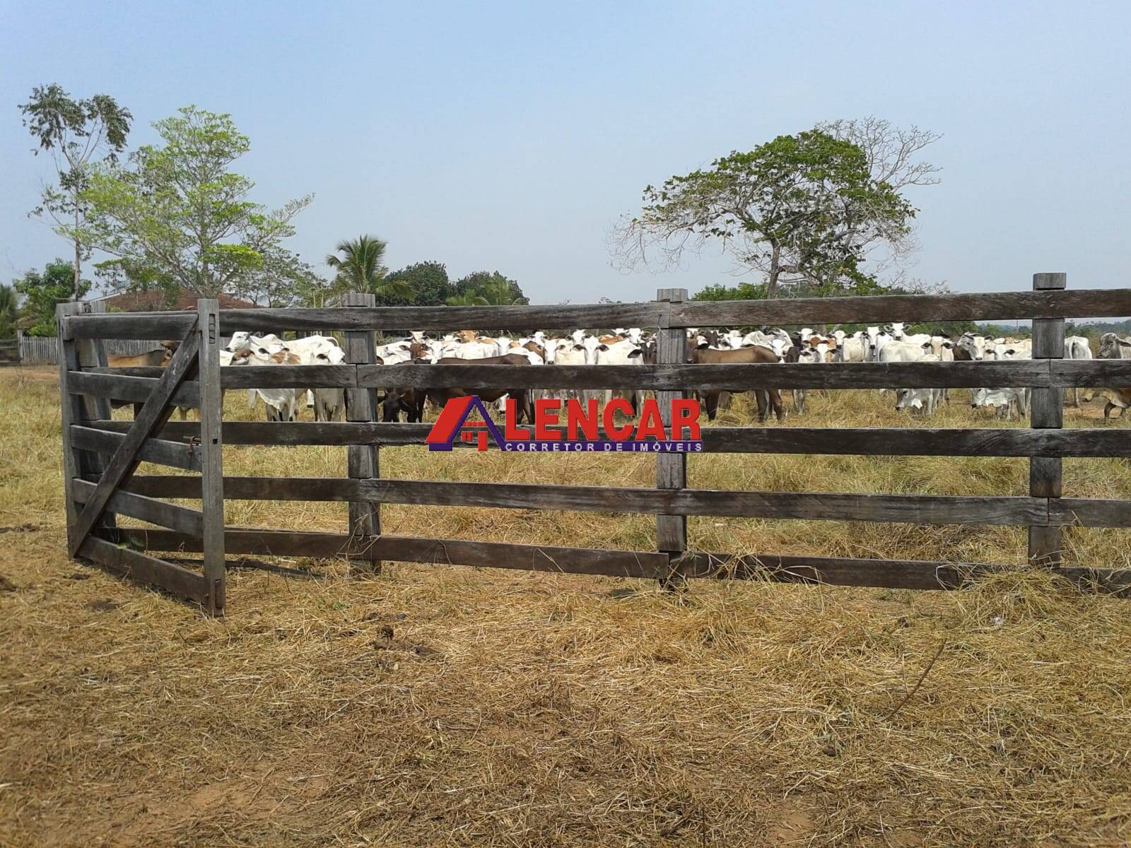 Fazenda à venda com 3 quartos, 3900000m² - Foto 18