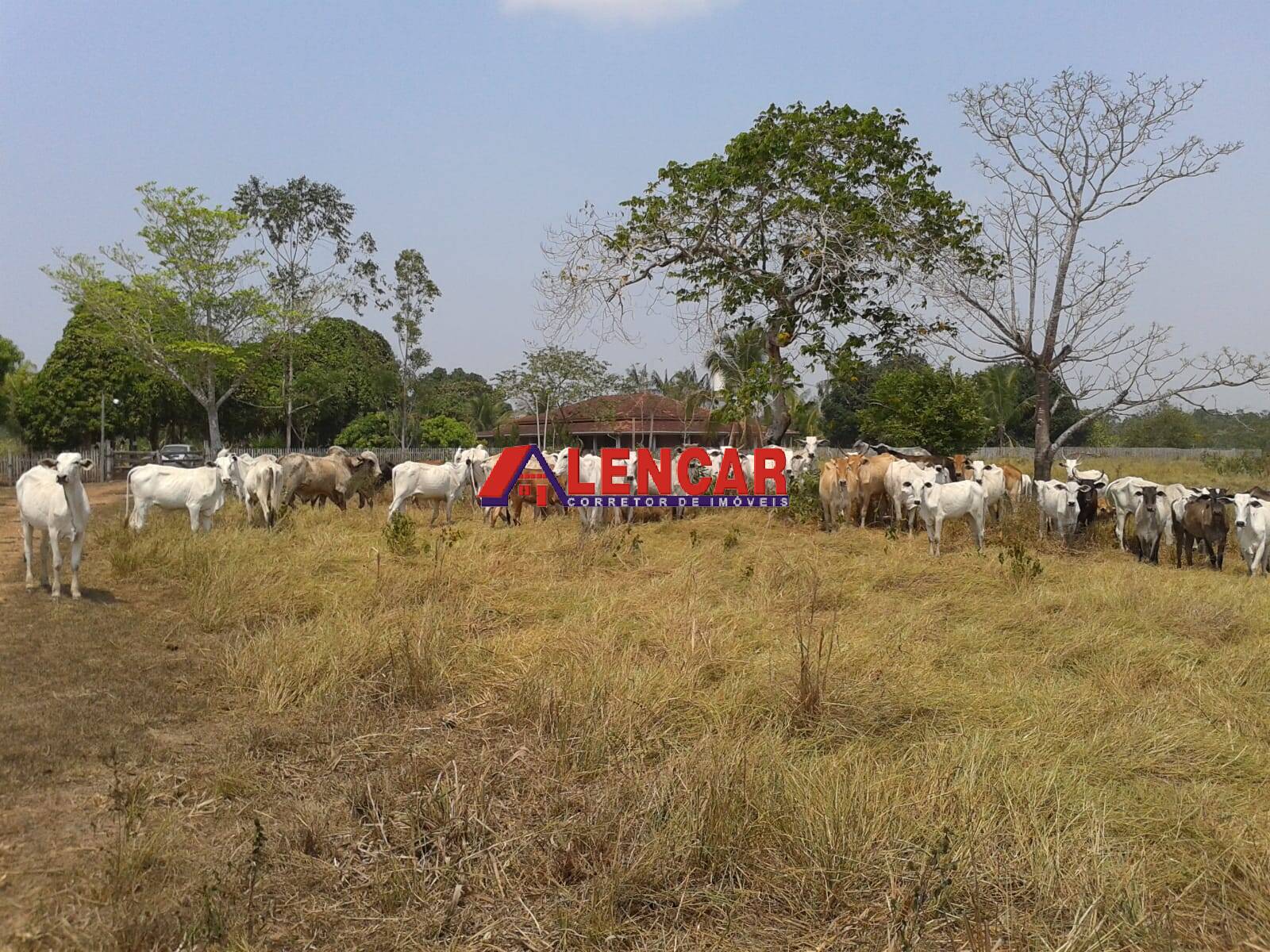 Fazenda à venda com 3 quartos, 3900000m² - Foto 20