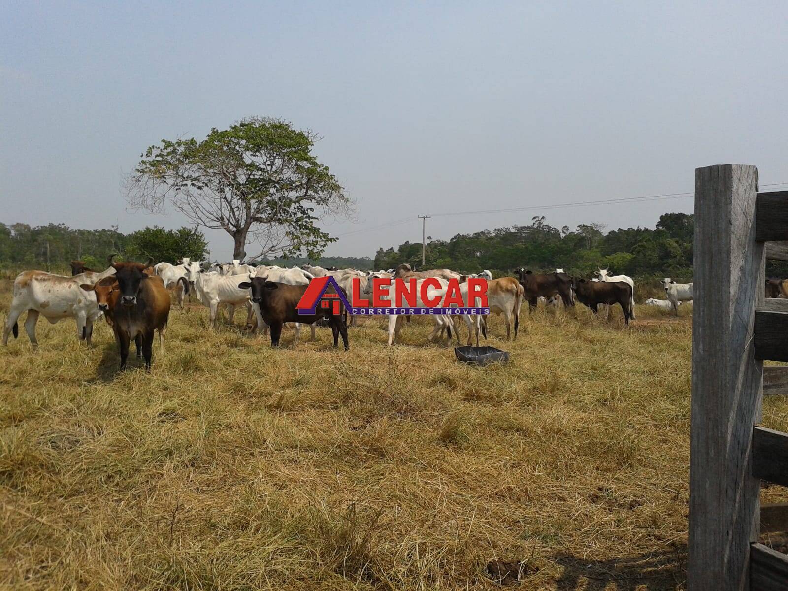 Fazenda à venda com 3 quartos, 3900000m² - Foto 22