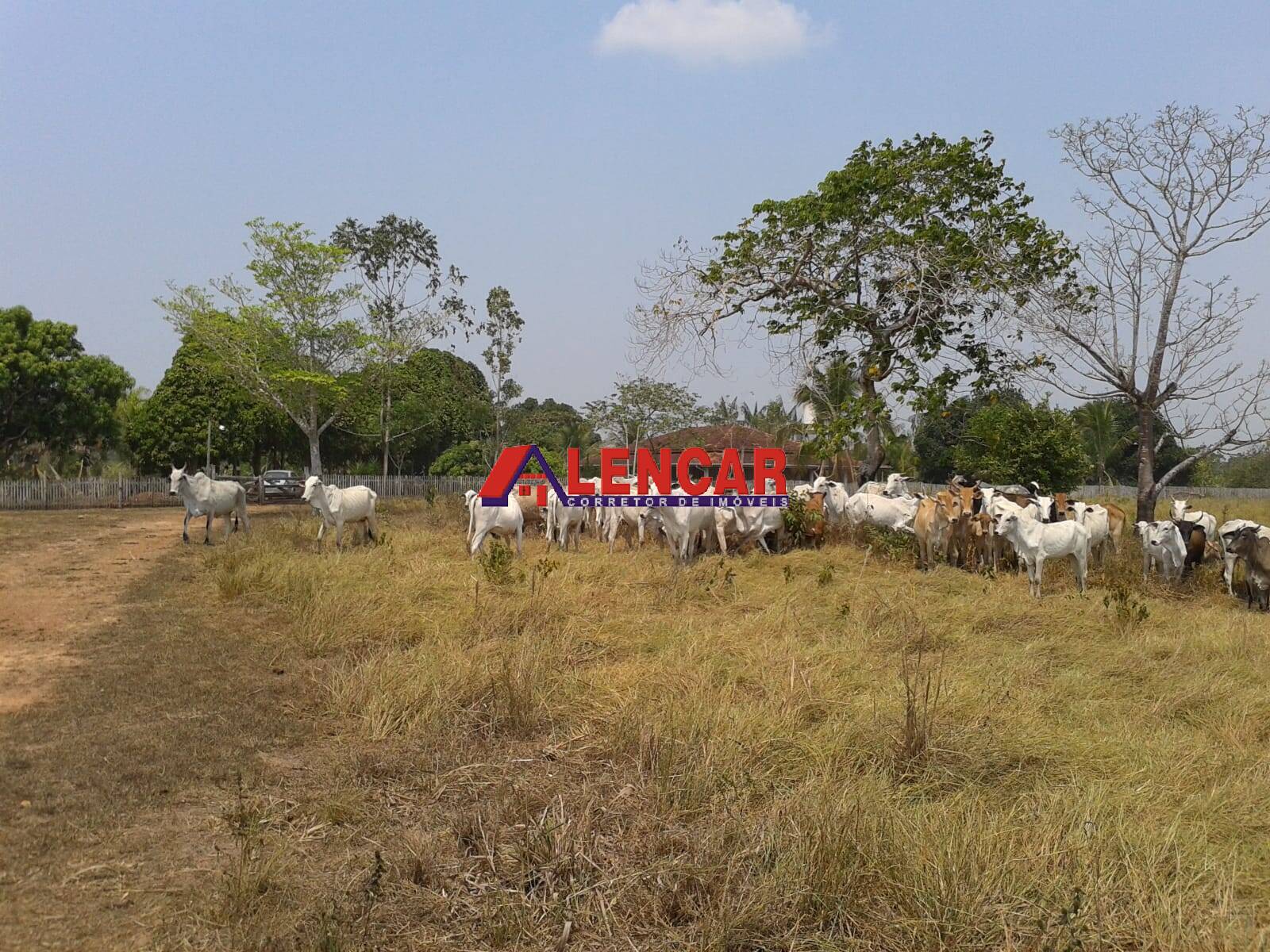 Fazenda à venda com 3 quartos, 3900000m² - Foto 25