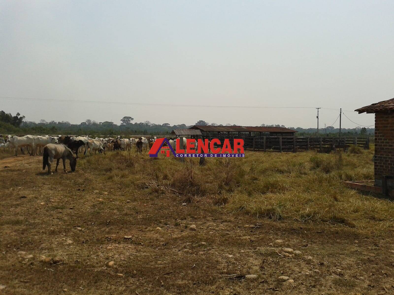 Fazenda à venda com 3 quartos, 3900000m² - Foto 27