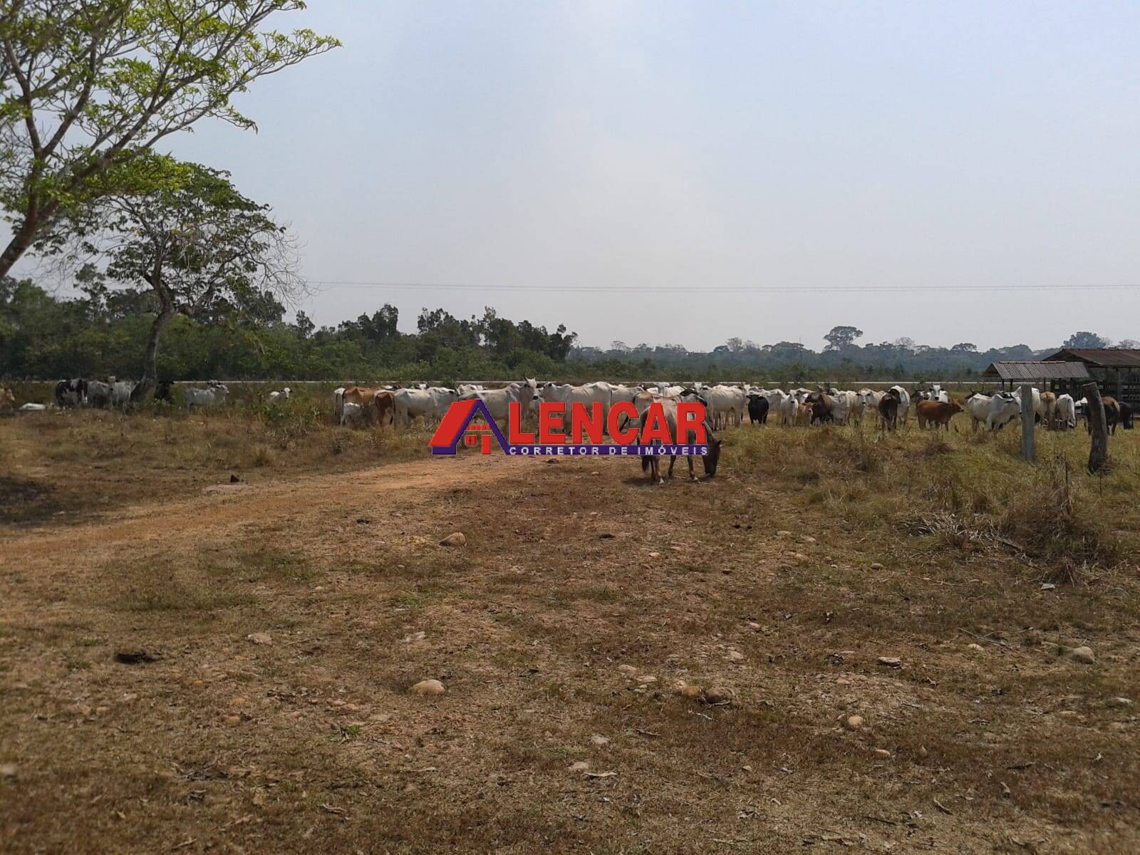 Fazenda à venda com 3 quartos, 3900000m² - Foto 28