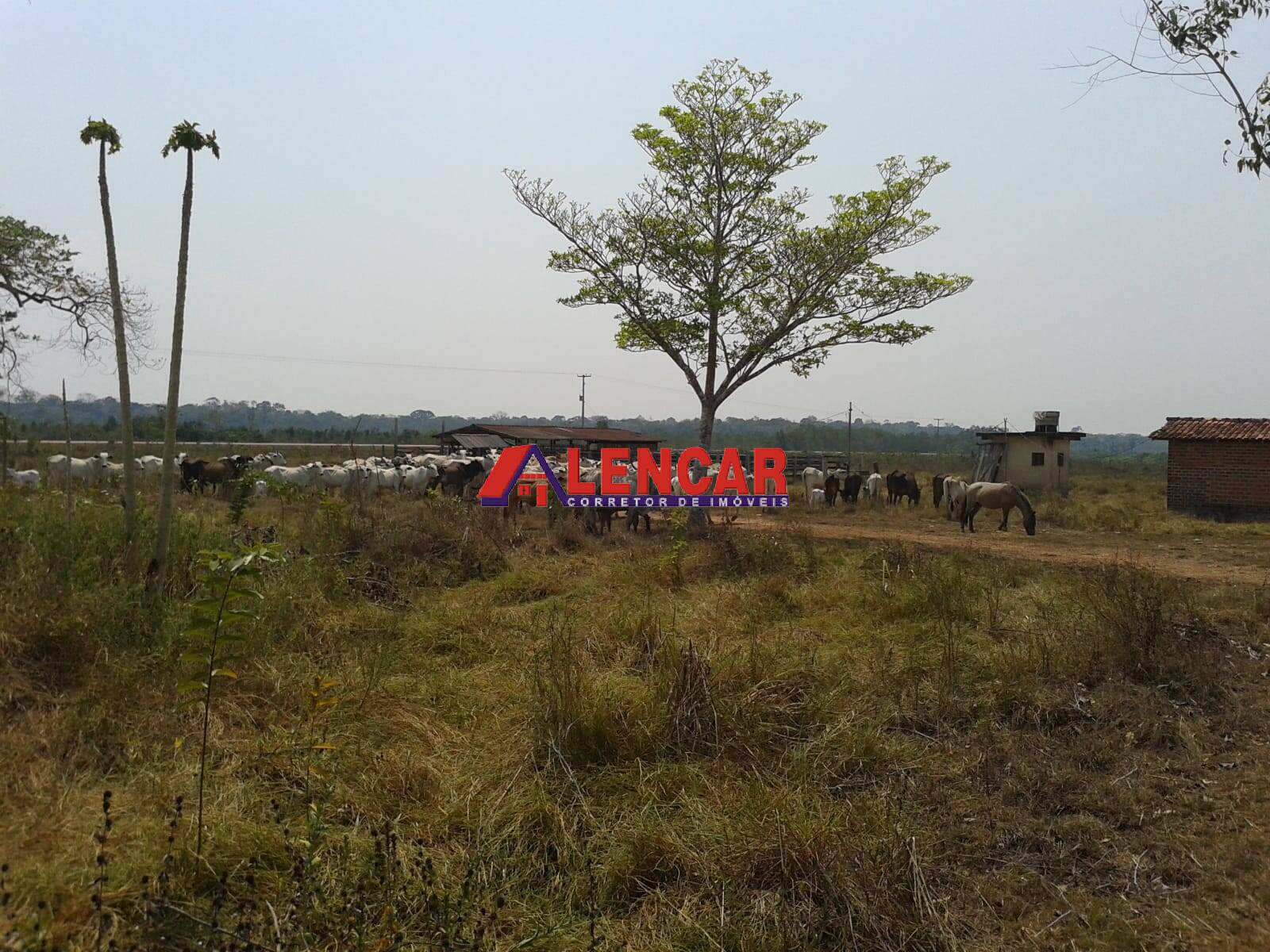 Fazenda à venda com 3 quartos, 3900000m² - Foto 32