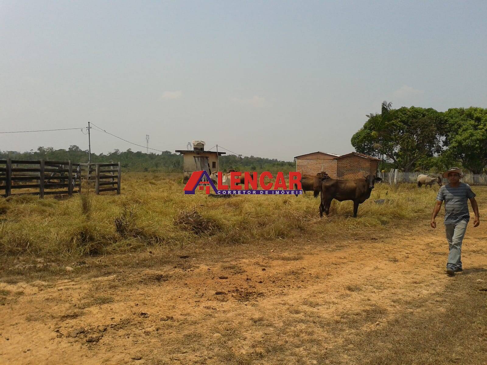 Fazenda à venda com 3 quartos, 3900000m² - Foto 34