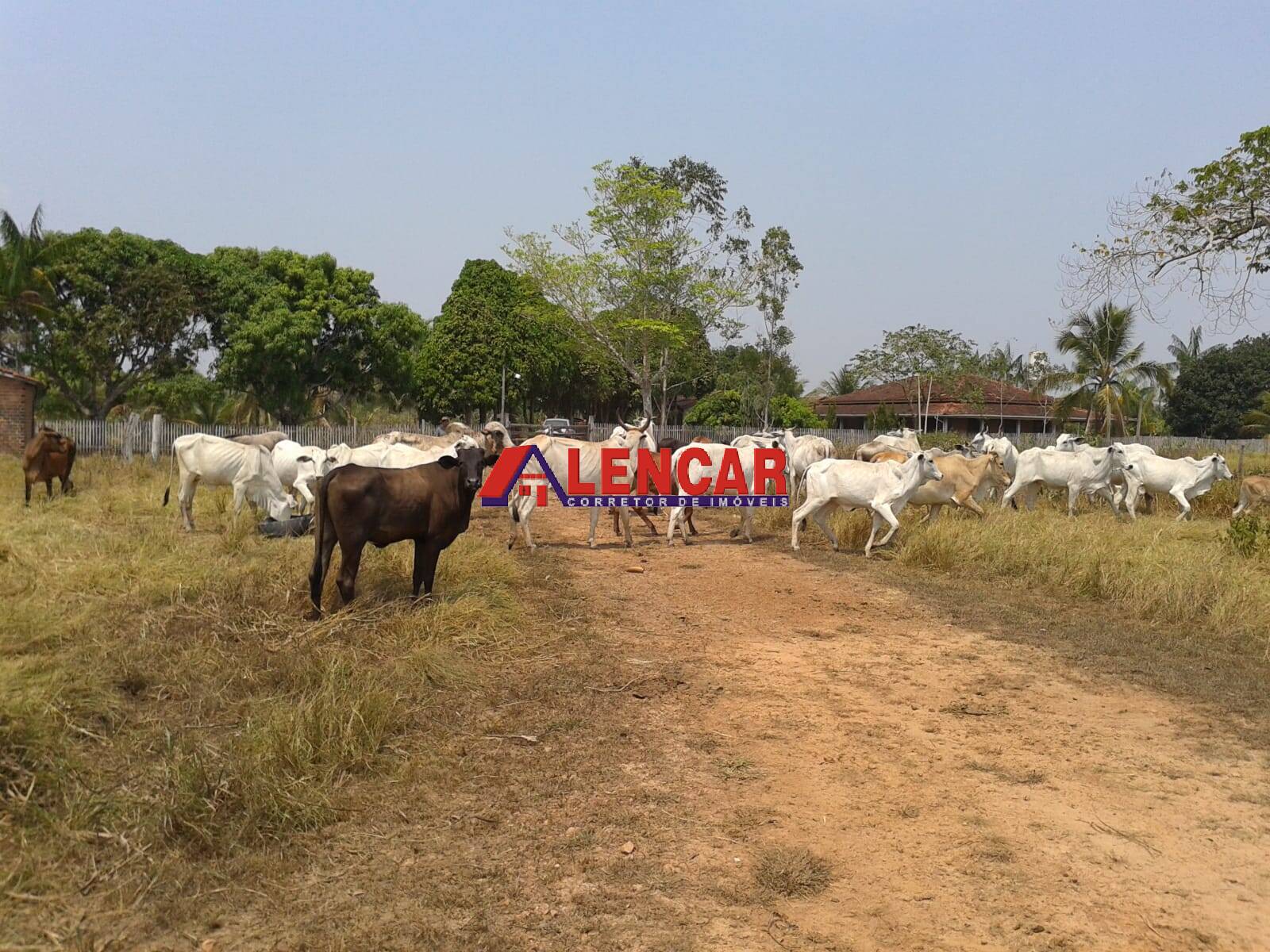 Fazenda à venda com 3 quartos, 3900000m² - Foto 39