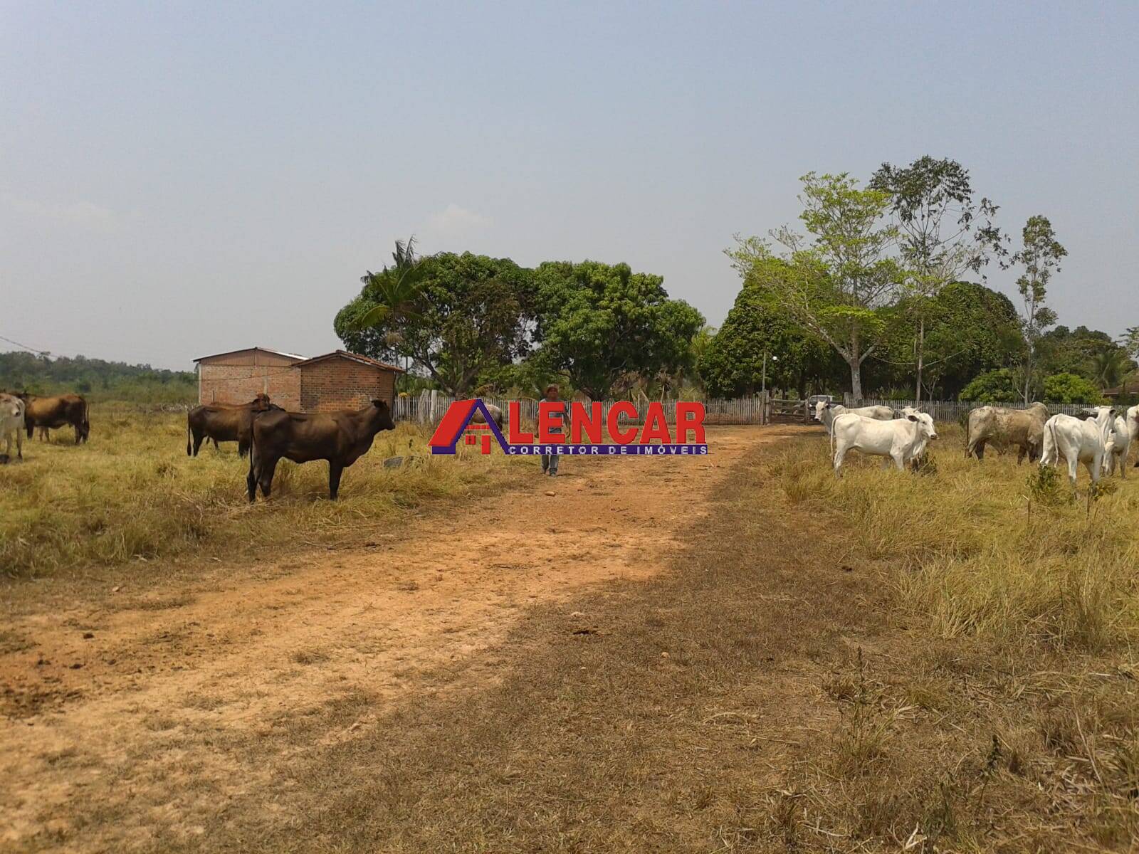 Fazenda à venda com 3 quartos, 3900000m² - Foto 38