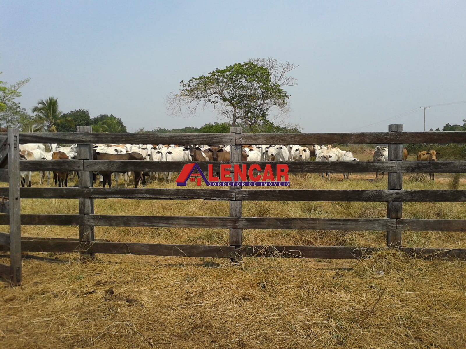 Fazenda à venda com 3 quartos, 3900000m² - Foto 44