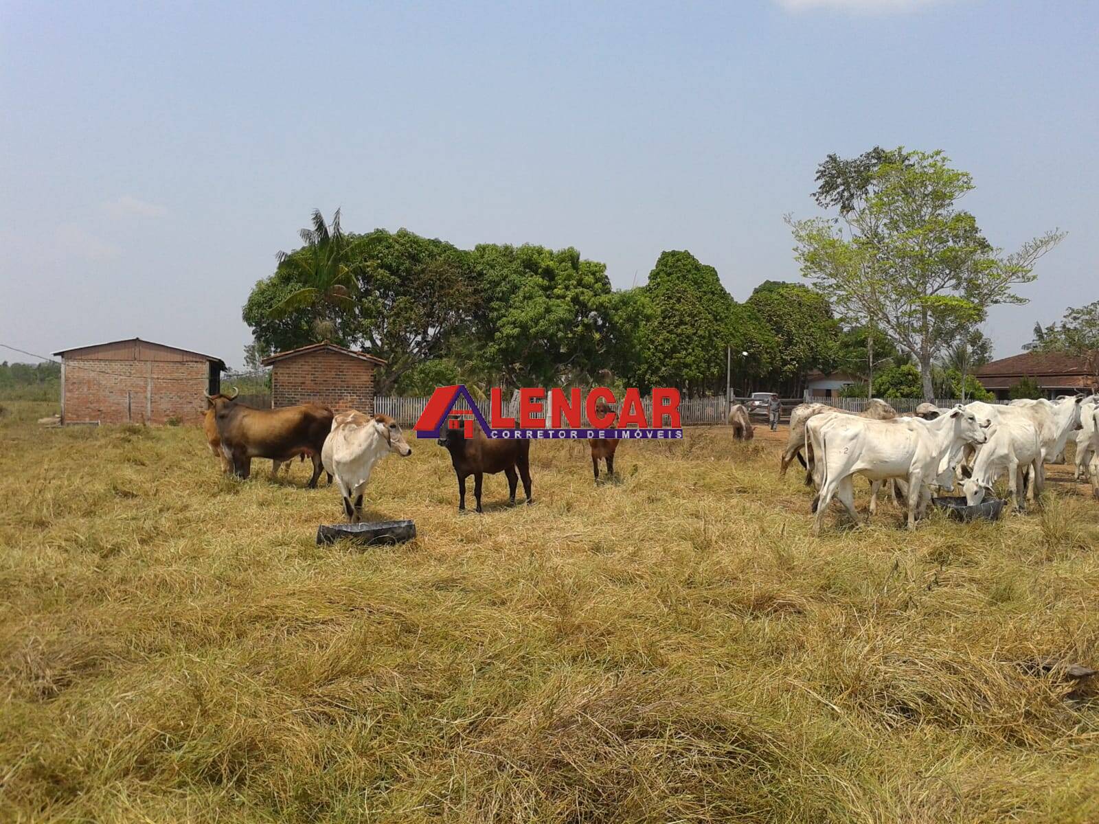 Fazenda à venda com 3 quartos, 3900000m² - Foto 48