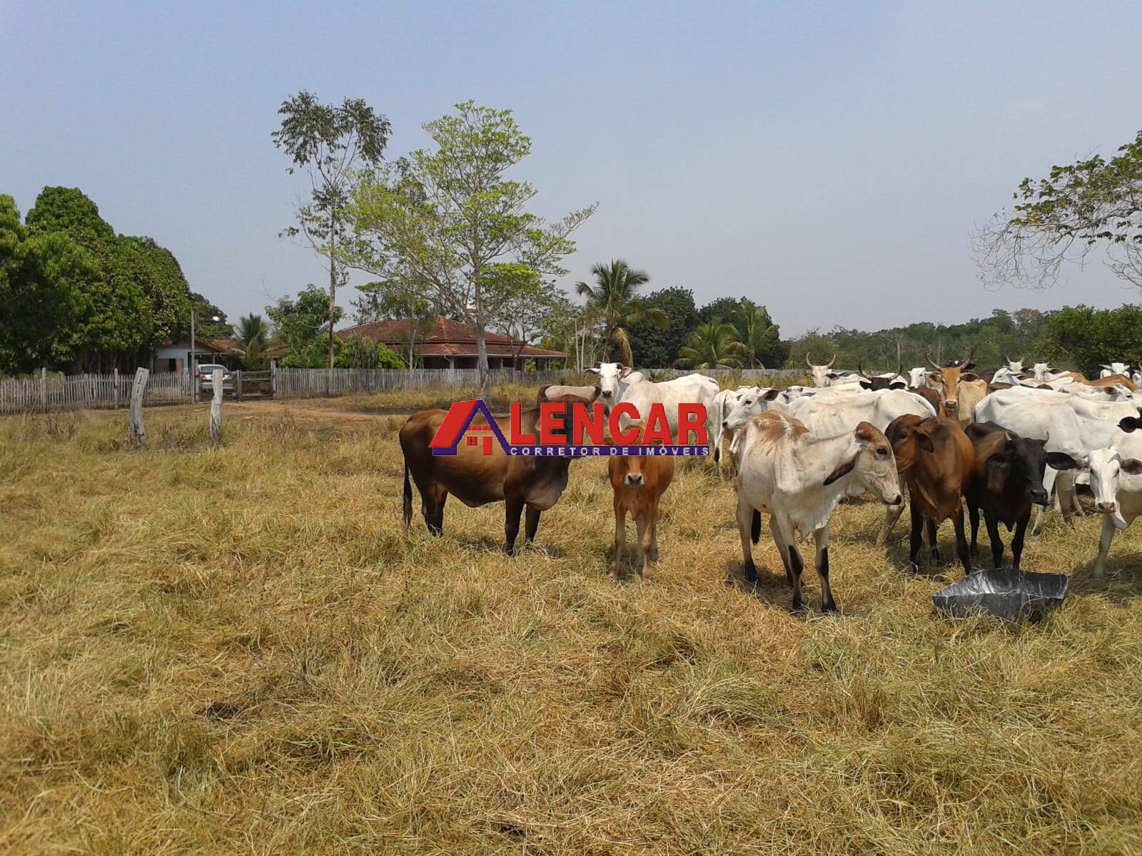 Fazenda à venda com 3 quartos, 3900000m² - Foto 49