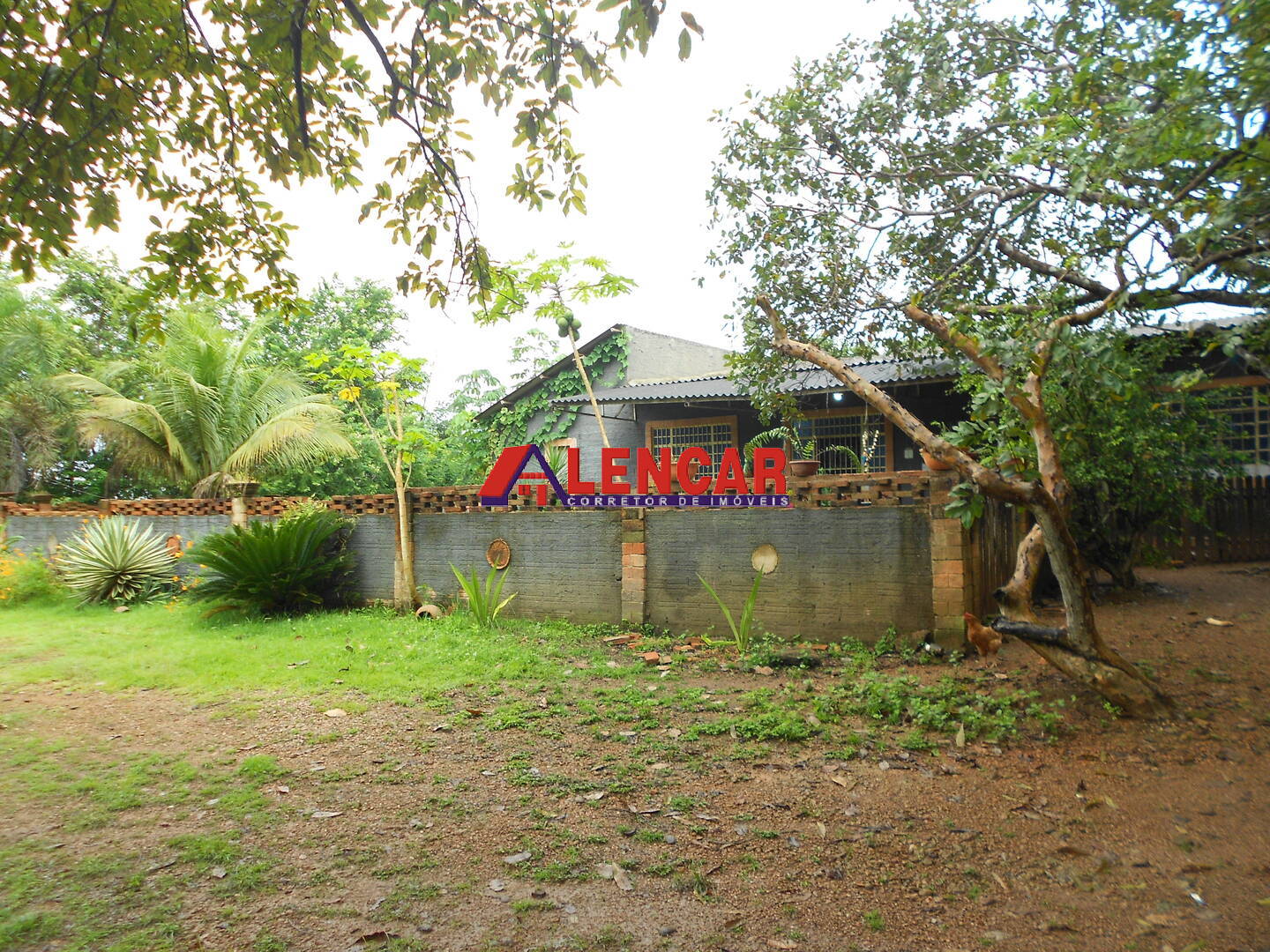 Fazenda à venda com 3 quartos, 5000m² - Foto 6