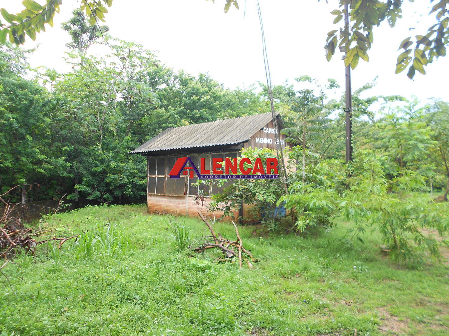 Fazenda à venda com 3 quartos, 5000m² - Foto 7