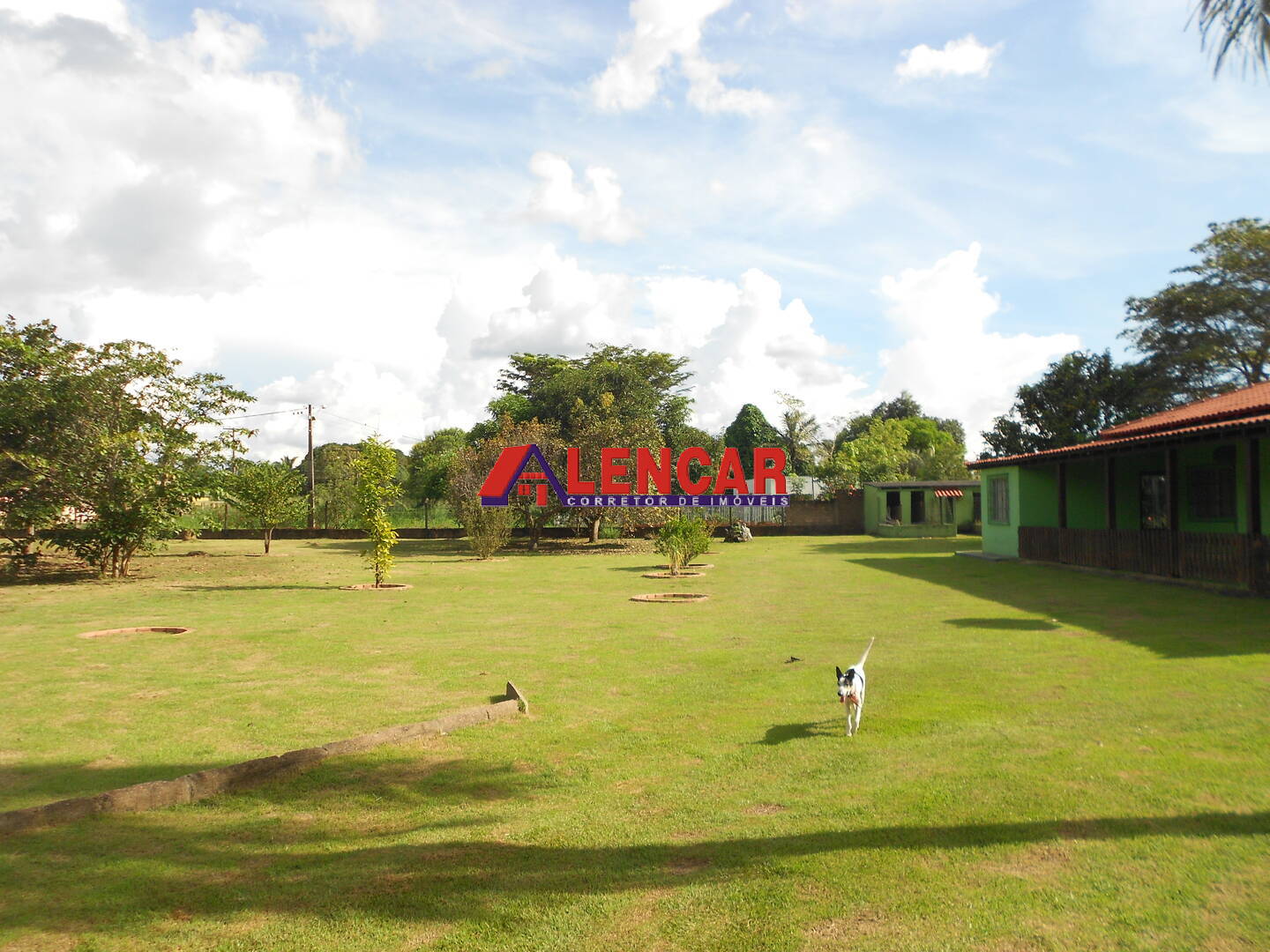 Fazenda à venda com 4 quartos, 3900m² - Foto 25