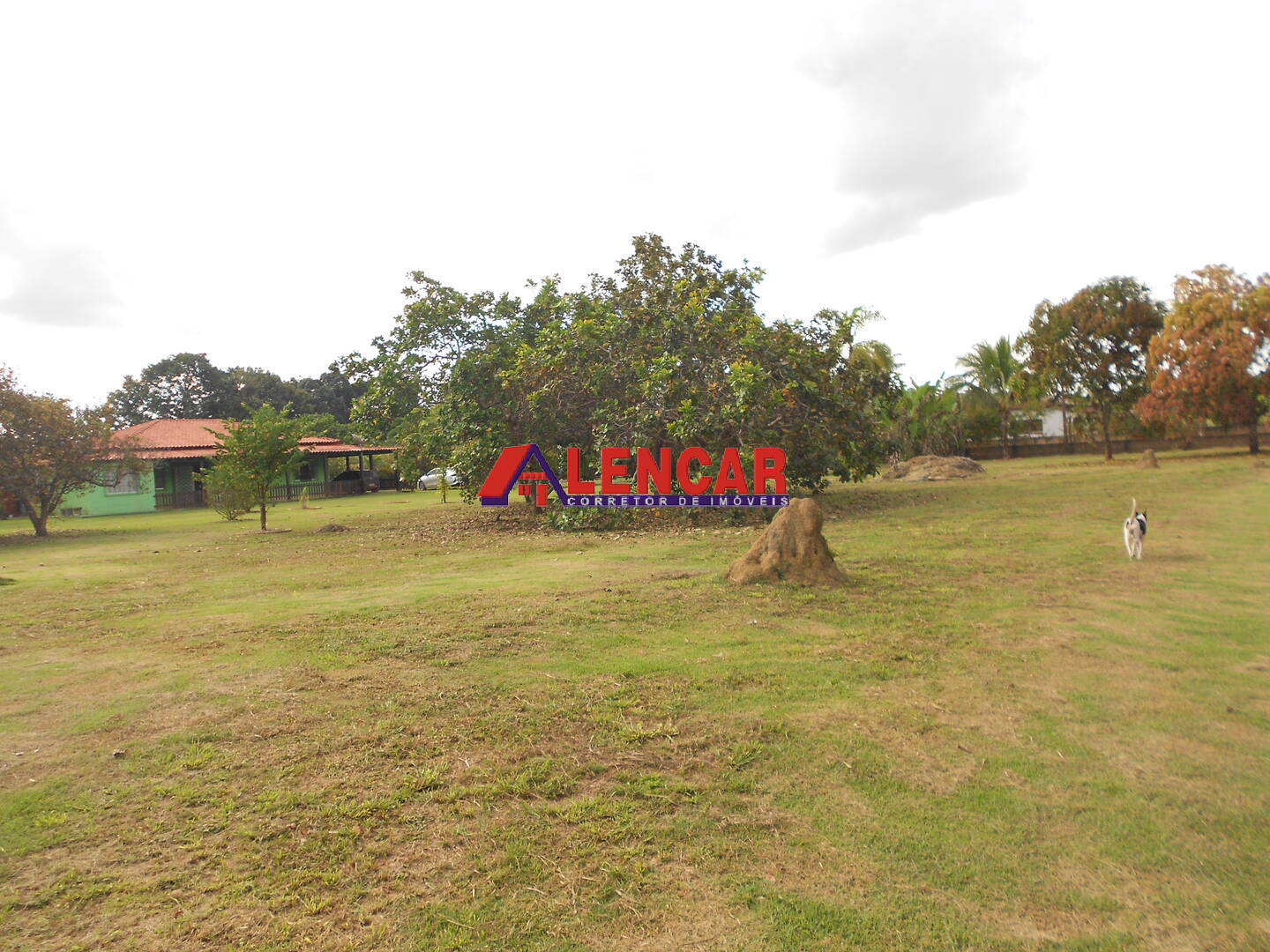 Fazenda à venda com 4 quartos, 3900m² - Foto 33