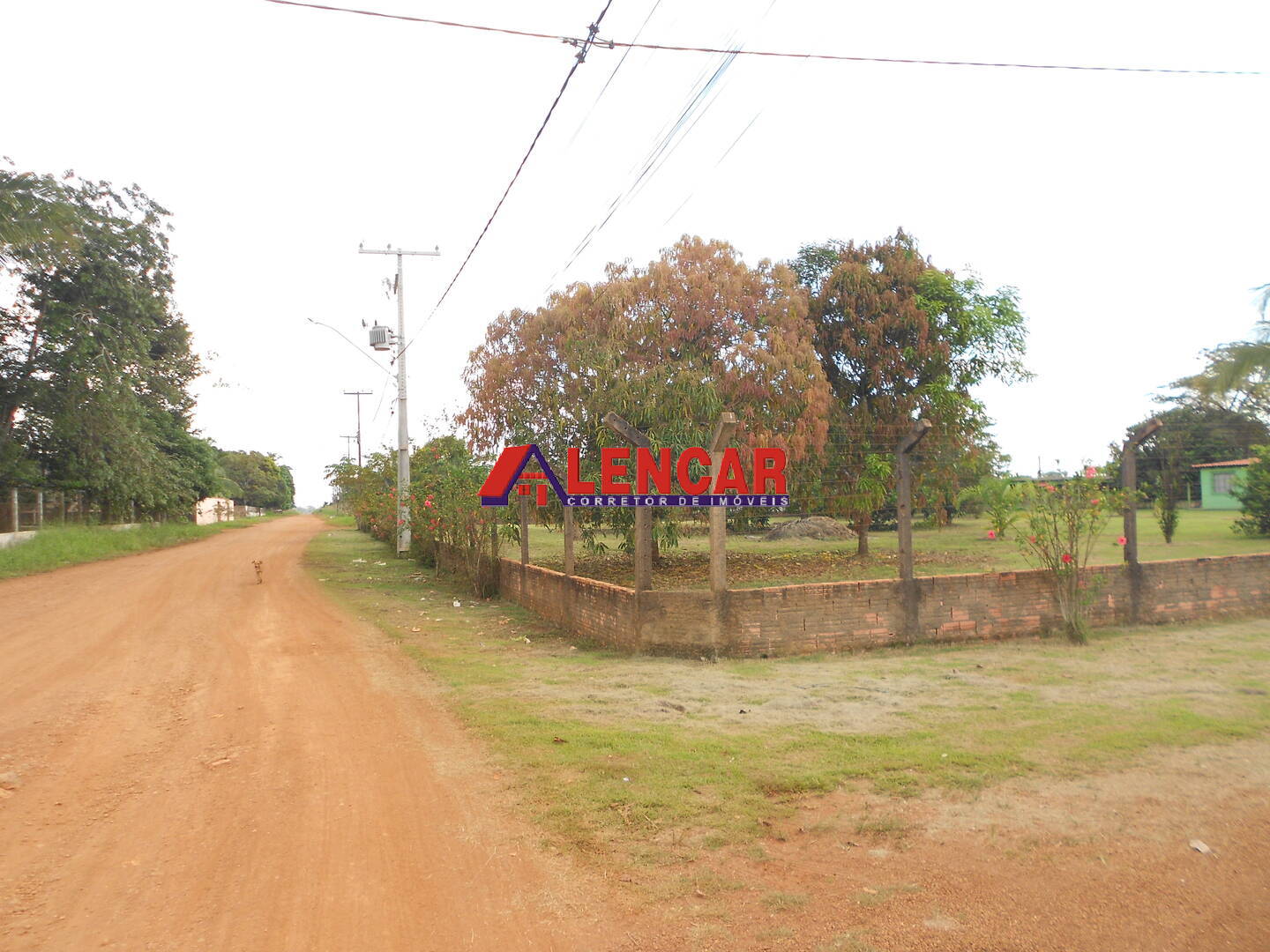 Fazenda à venda com 4 quartos, 3900m² - Foto 35