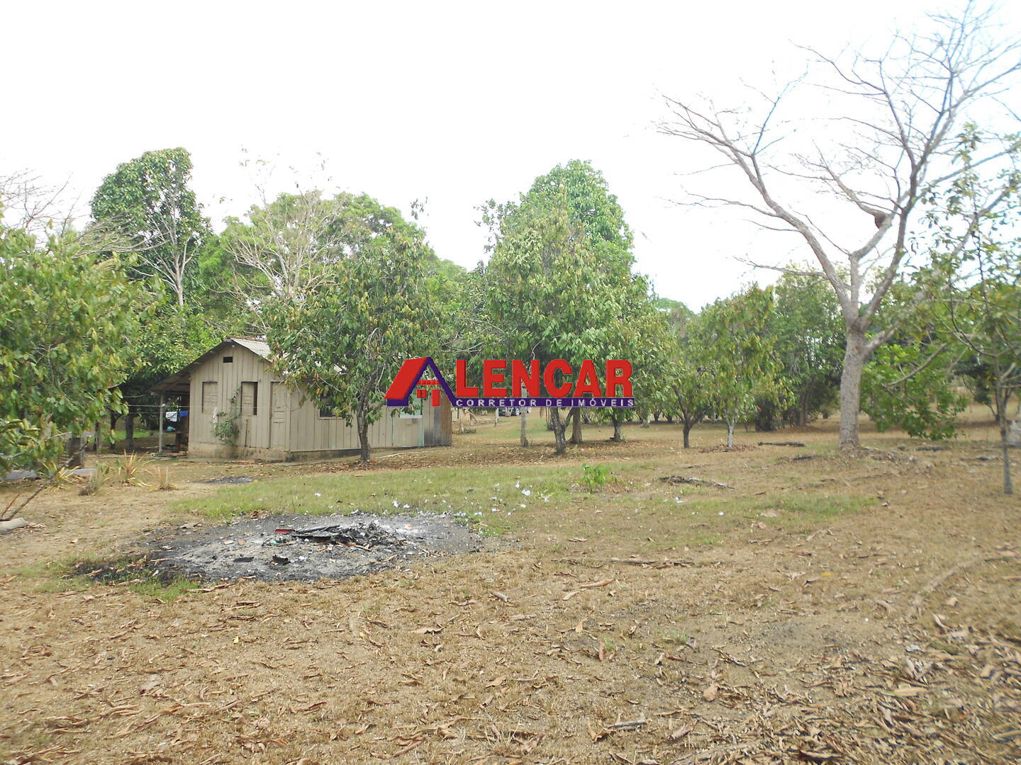 Fazenda à venda com 4 quartos, 15000m² - Foto 23