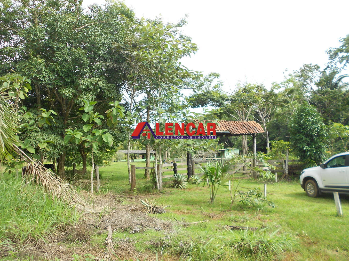 Fazenda à venda com 3 quartos, 340000m² - Foto 5