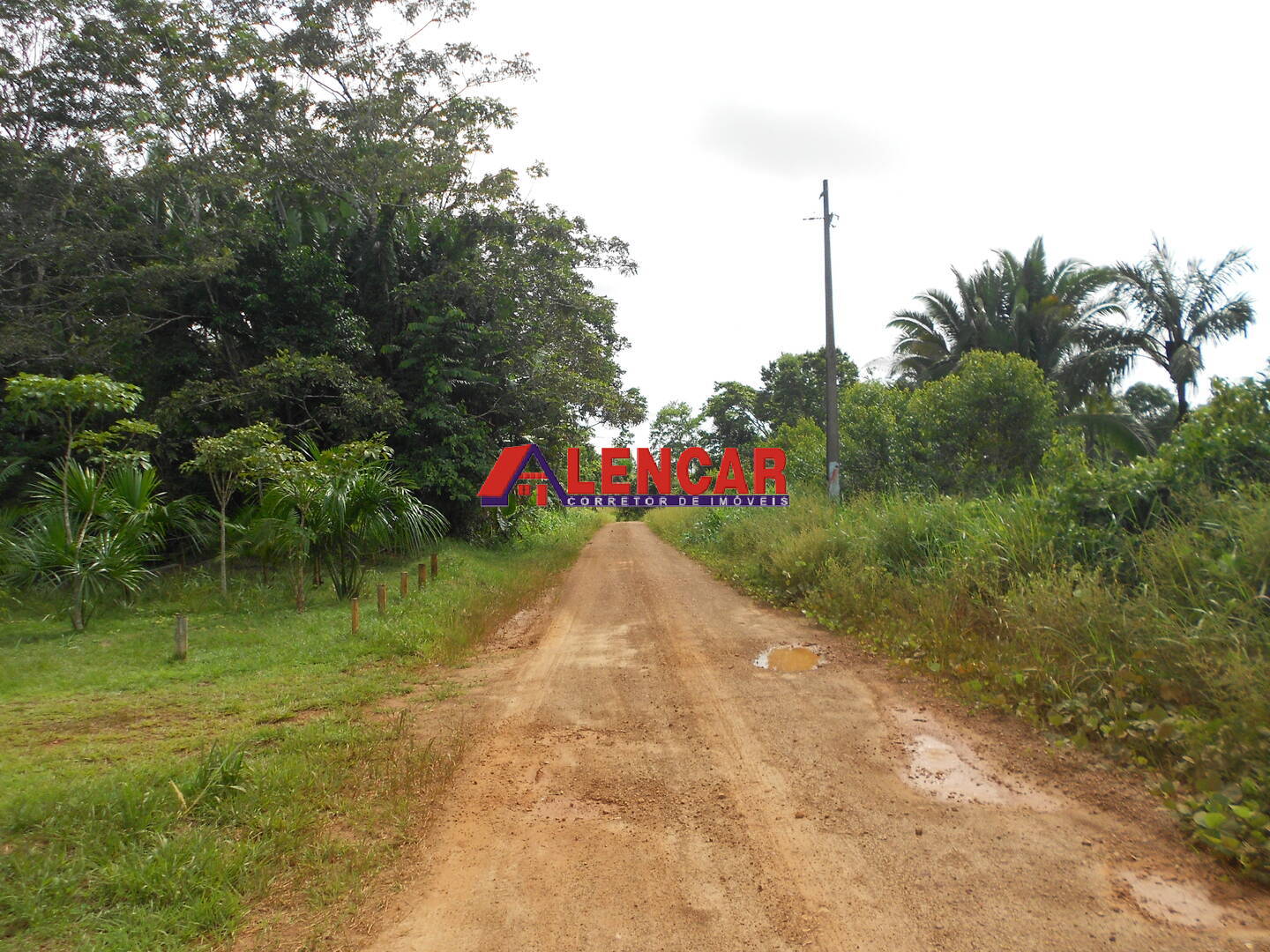 Fazenda à venda com 3 quartos, 340000m² - Foto 6