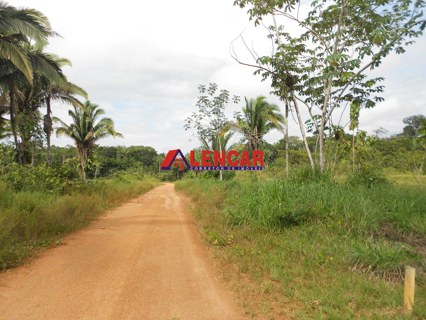 Fazenda à venda com 3 quartos, 340000m² - Foto 7