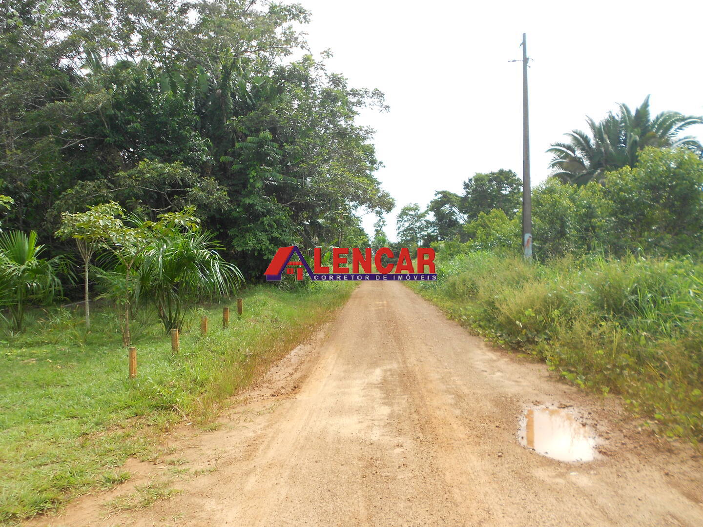 Fazenda à venda com 3 quartos, 340000m² - Foto 8