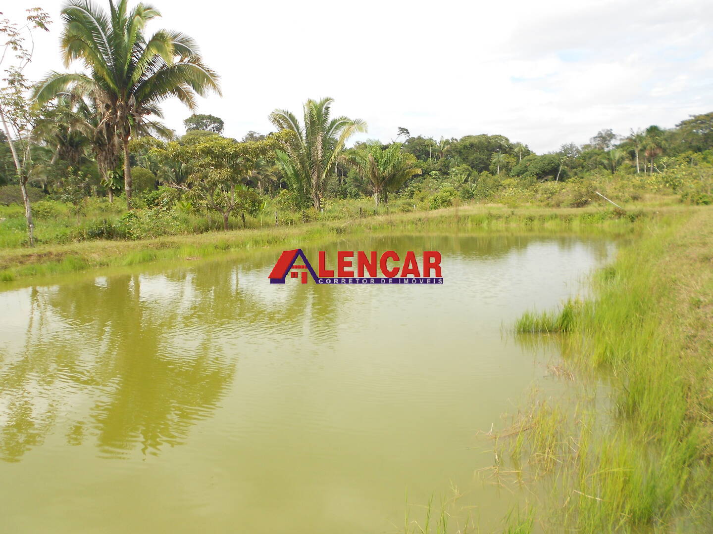 Fazenda à venda com 3 quartos, 340000m² - Foto 10