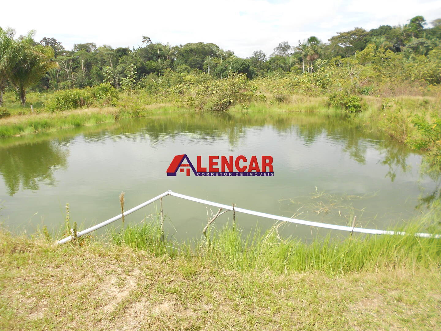 Fazenda à venda com 3 quartos, 340000m² - Foto 12