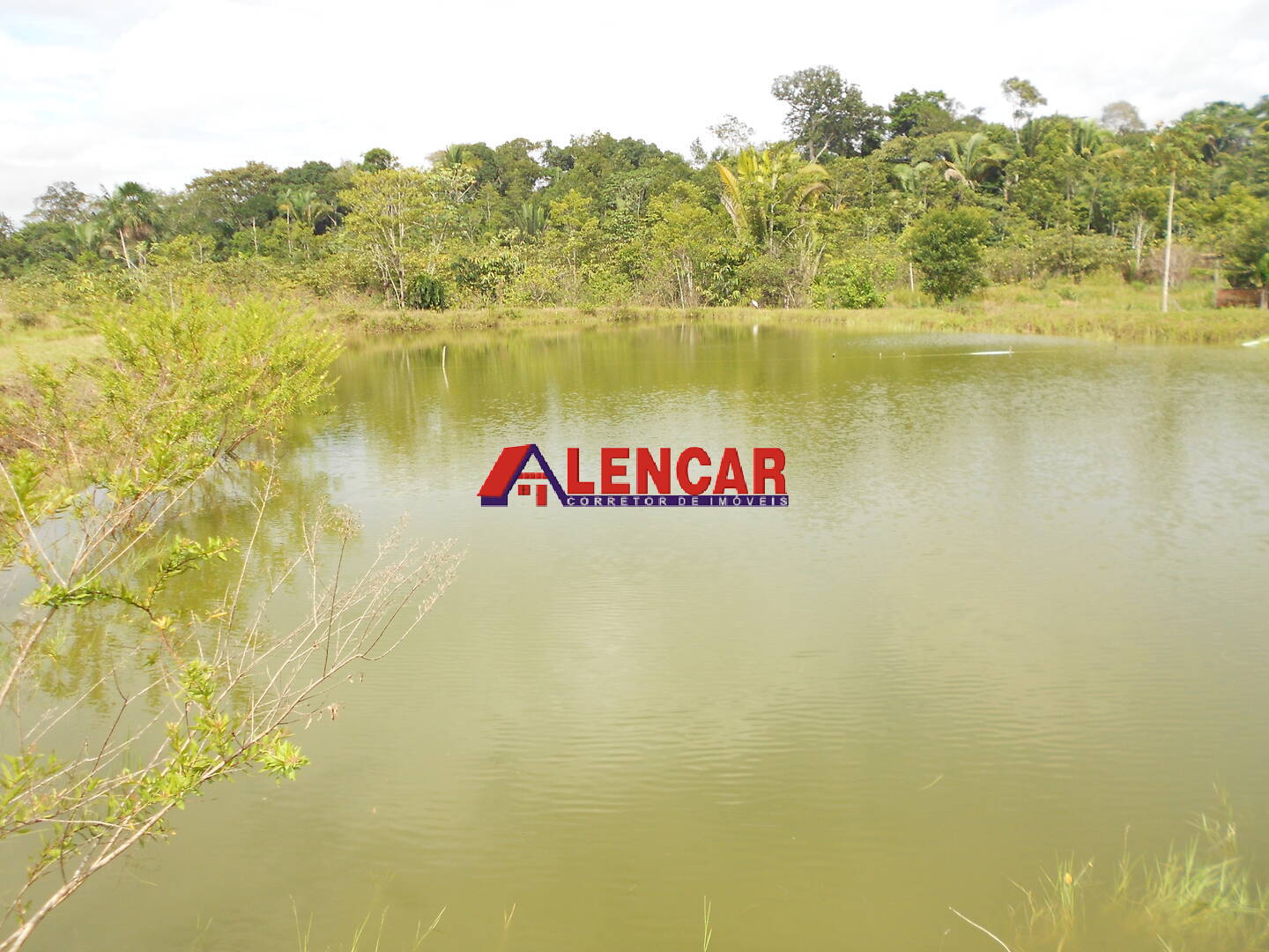 Fazenda à venda com 3 quartos, 340000m² - Foto 13