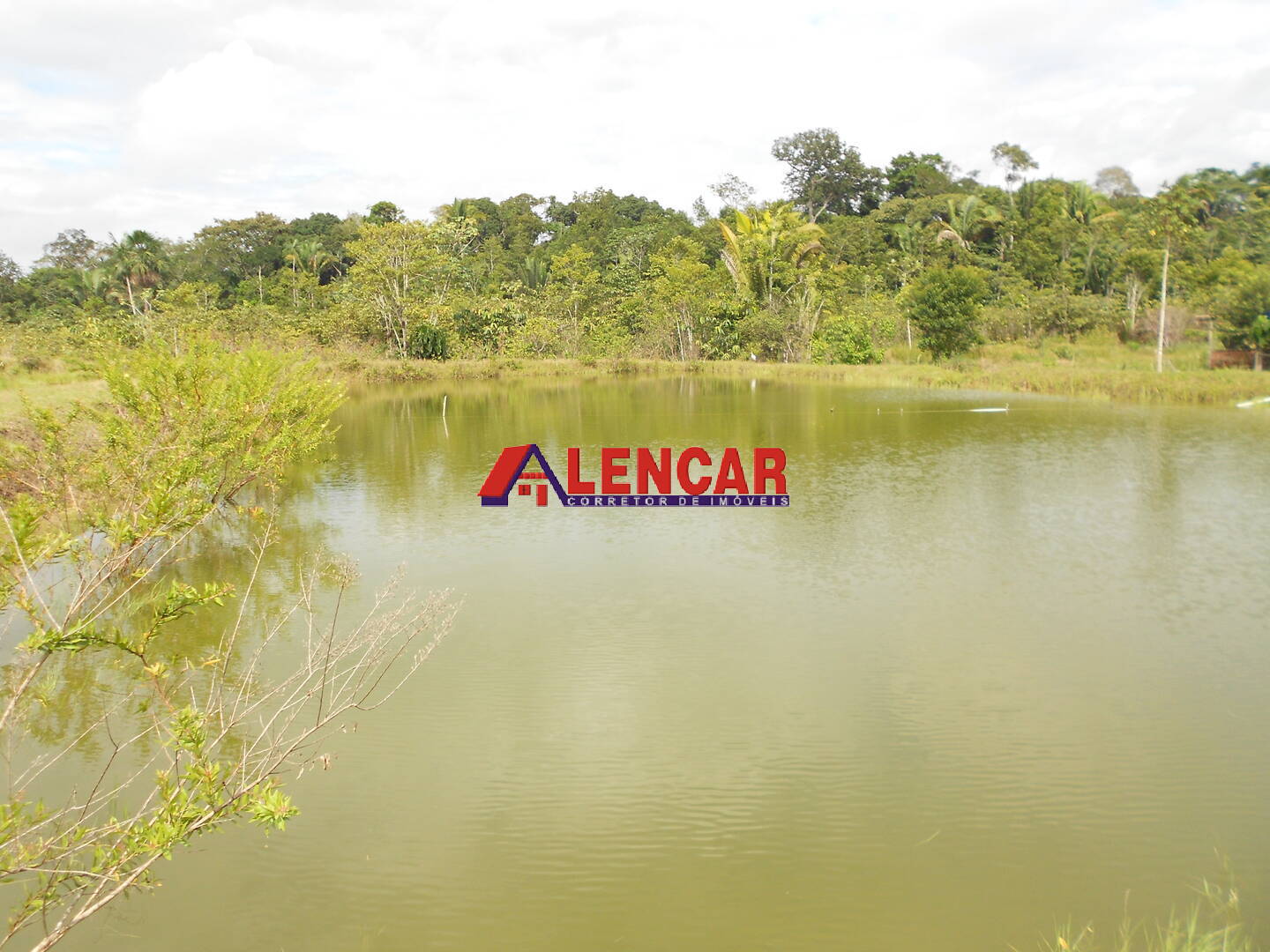 Fazenda à venda com 3 quartos, 340000m² - Foto 14