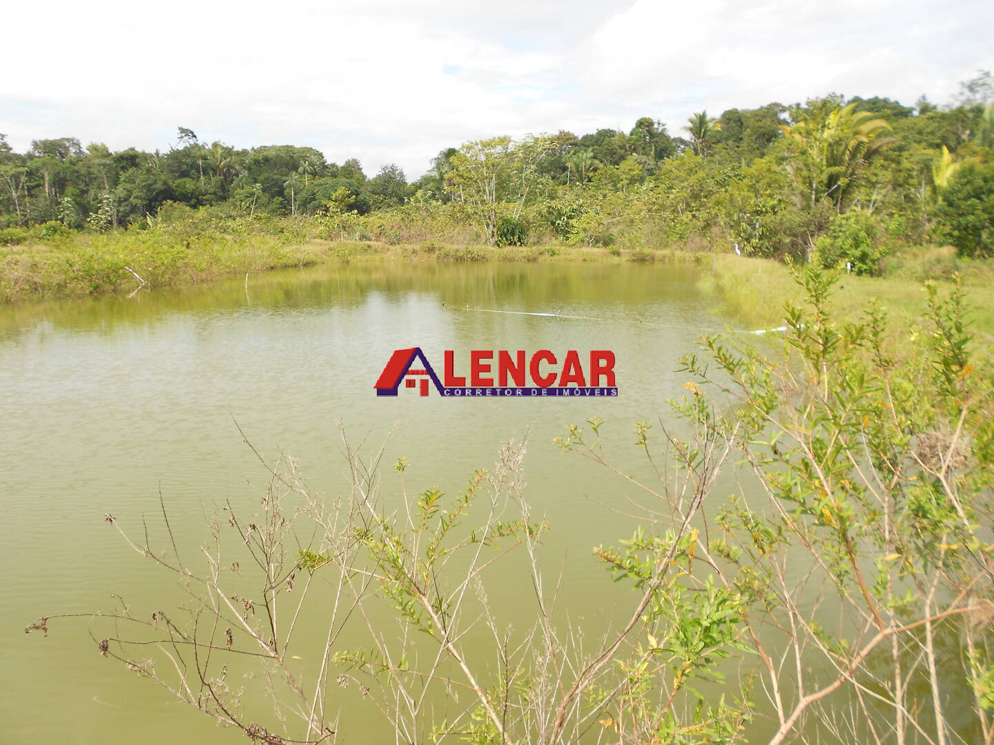 Fazenda à venda com 3 quartos, 340000m² - Foto 15