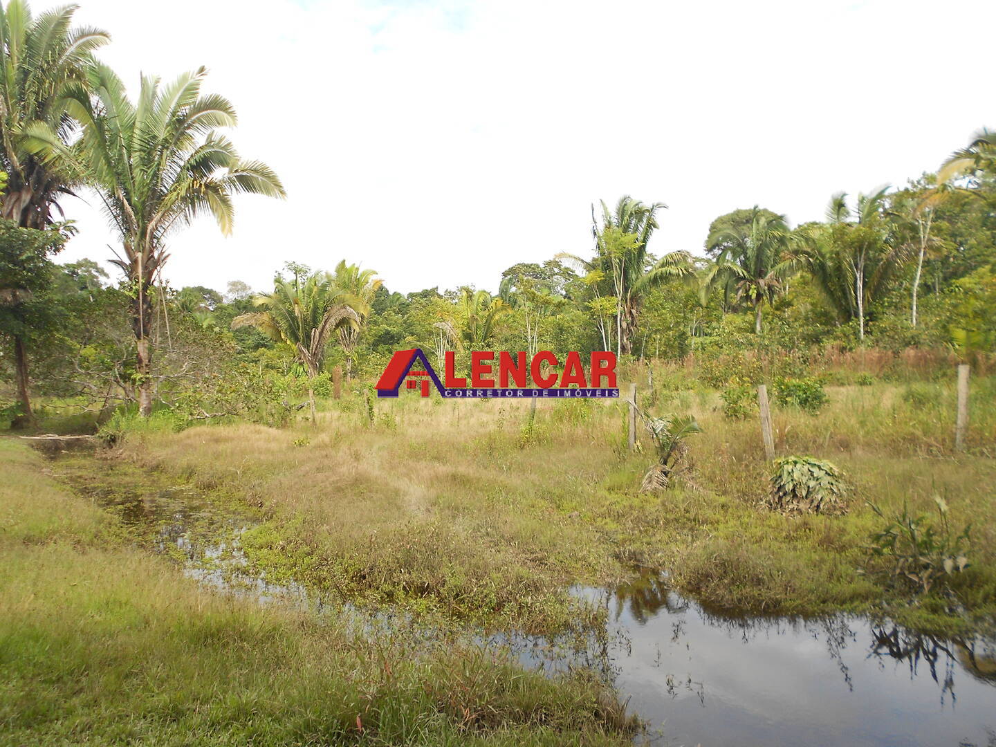 Fazenda à venda com 3 quartos, 340000m² - Foto 20