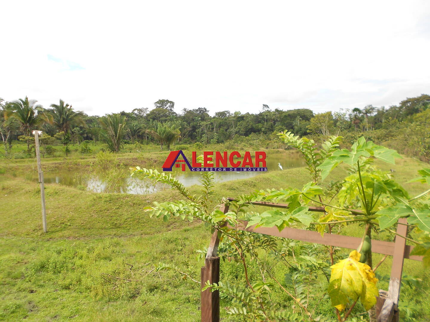 Fazenda à venda com 3 quartos, 340000m² - Foto 24