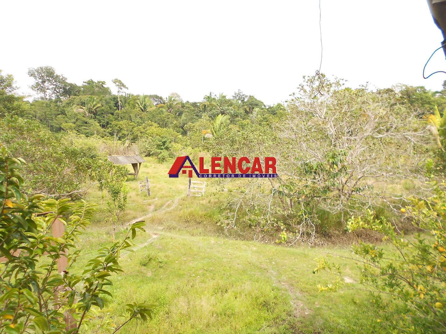 Fazenda à venda com 3 quartos, 340000m² - Foto 25